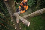 Stihl MSA 220 TC-O (MA01 200 0046) – Image 5